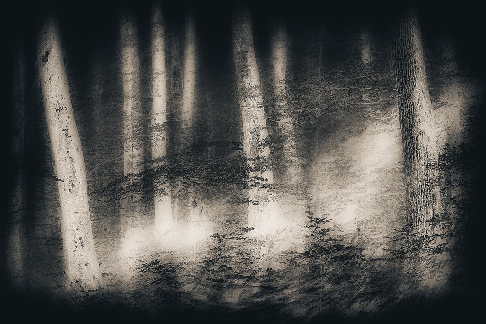  - Gustav Davidsson
