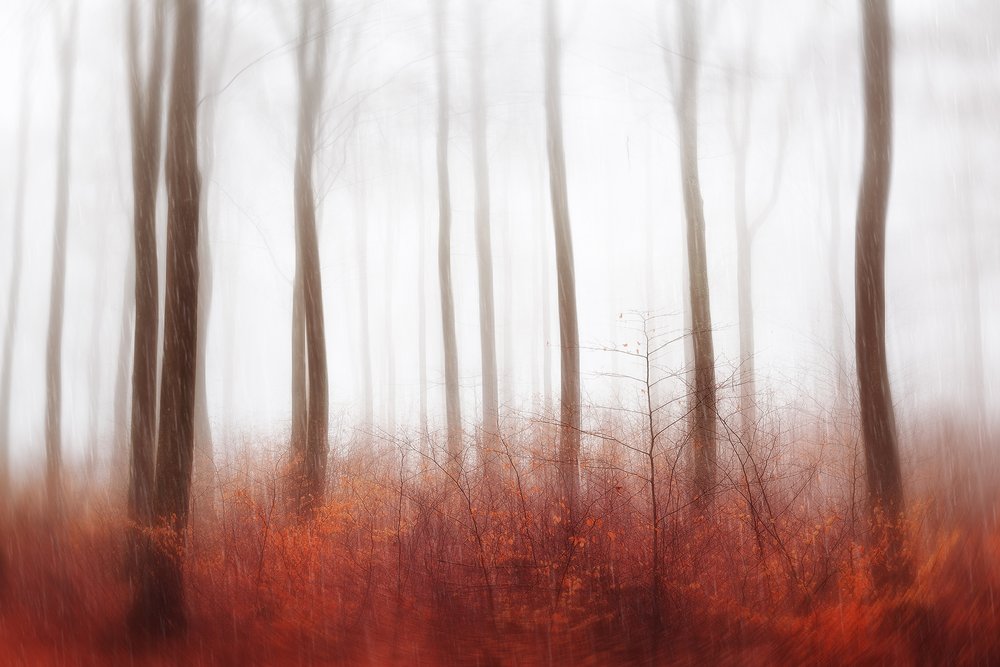 - Gustav Davidsson