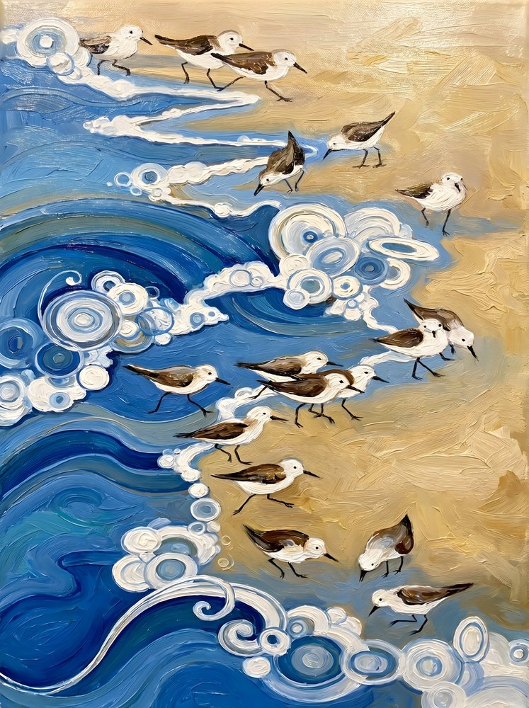 Oiseaux du littoral et vagues - HUGO