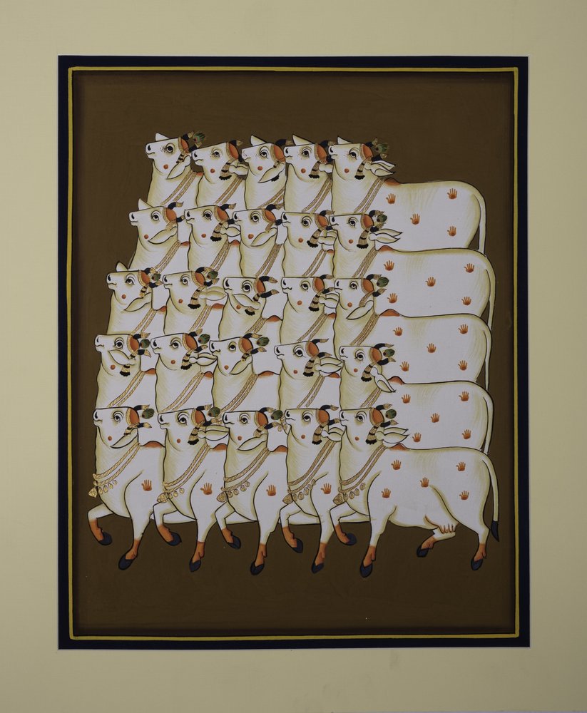 Une succession de vaches sacrées - IMAGINEERS STUDIO