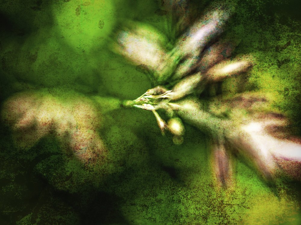 Textures abstraites vertes - Ida Publishing
