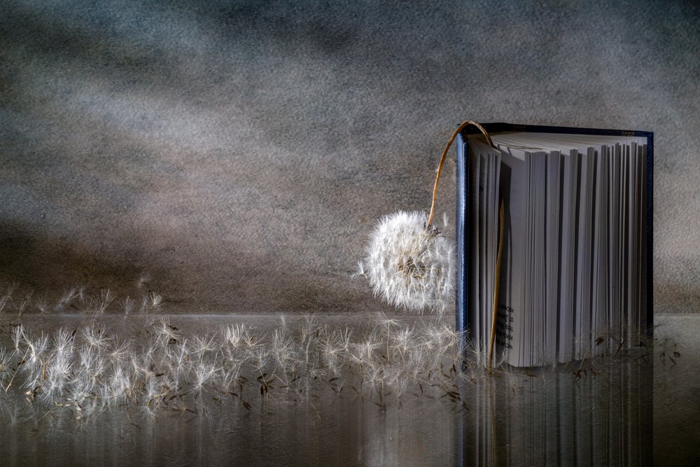 Reflet d
