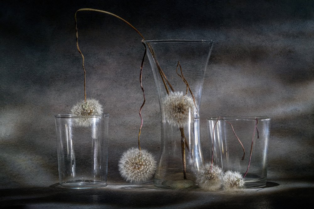 Piège à pissenlits - Igor Kopcev