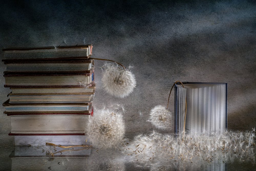 Livres rêveurs et pissenlits - Igor Kopcev