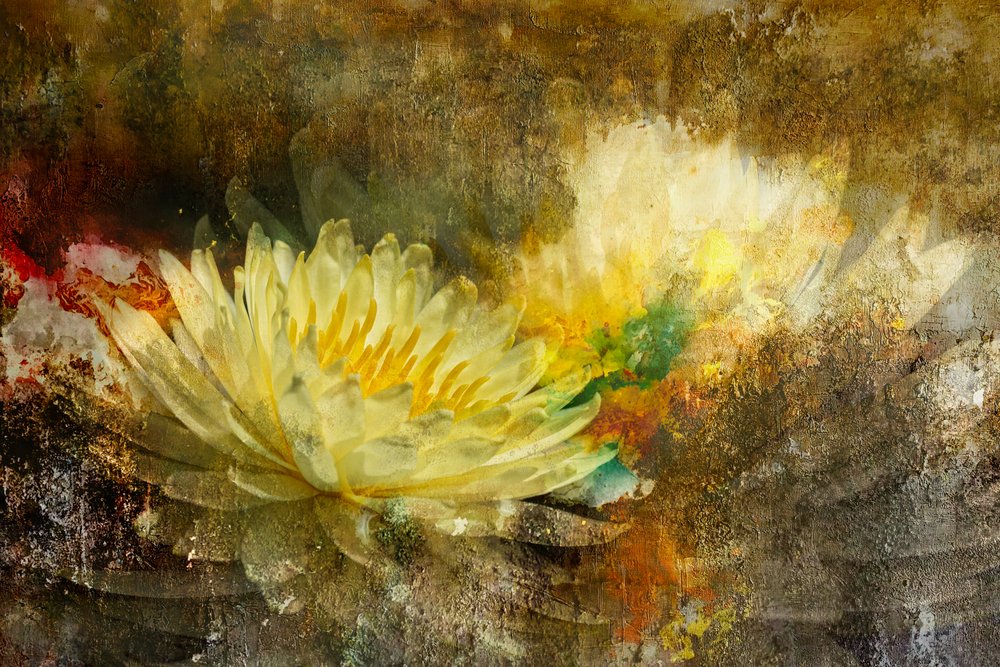 Fleur de lotus dorée - Igor Kopcev