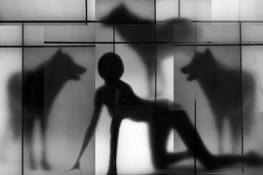 Les ombres de la femme et du loup - Igor Shrayer