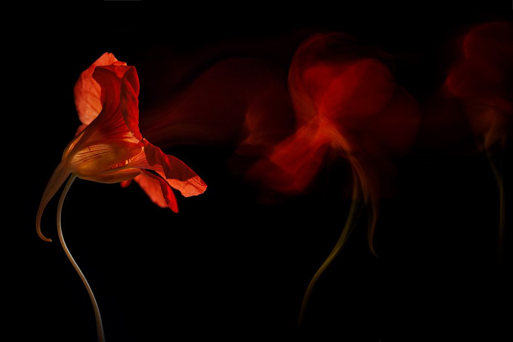  - Inna Karpova
