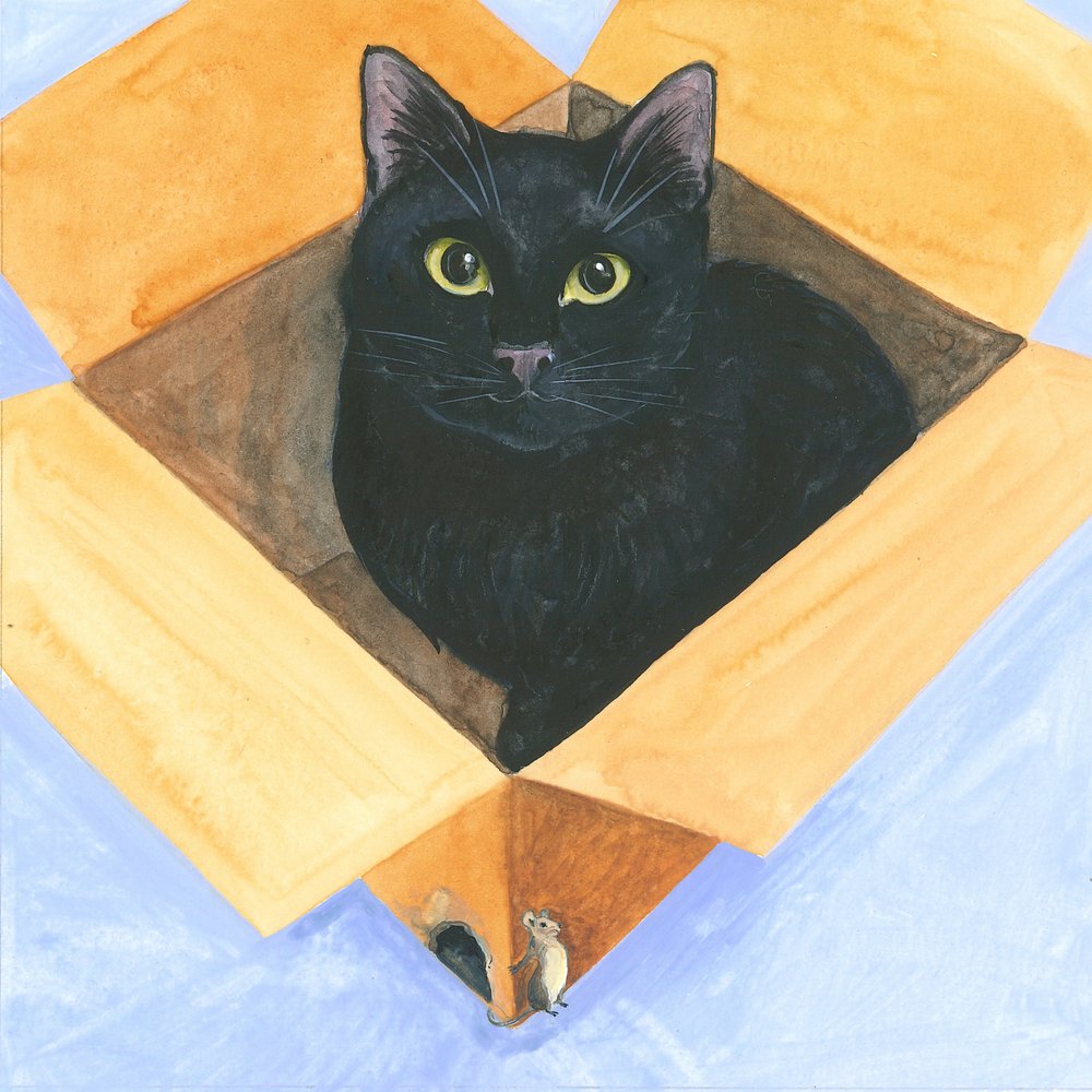 Chat dans la boîte - Isabelle Brent