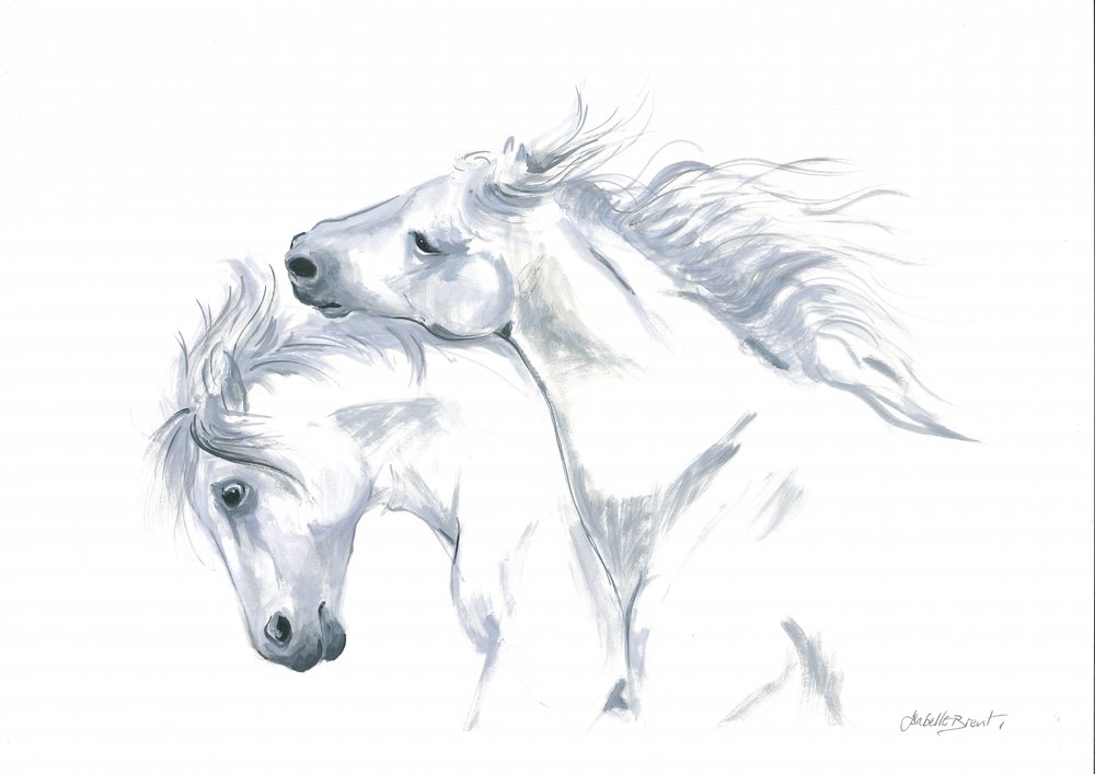 Liberté des chevaux en mouvement - Isabelle Brent