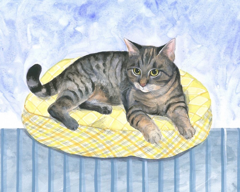 Chat-coussin - Isabelle Brent
