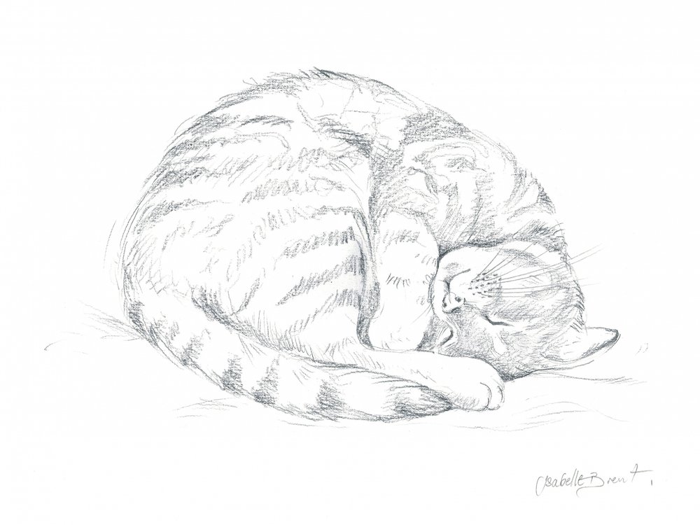 Dessin d