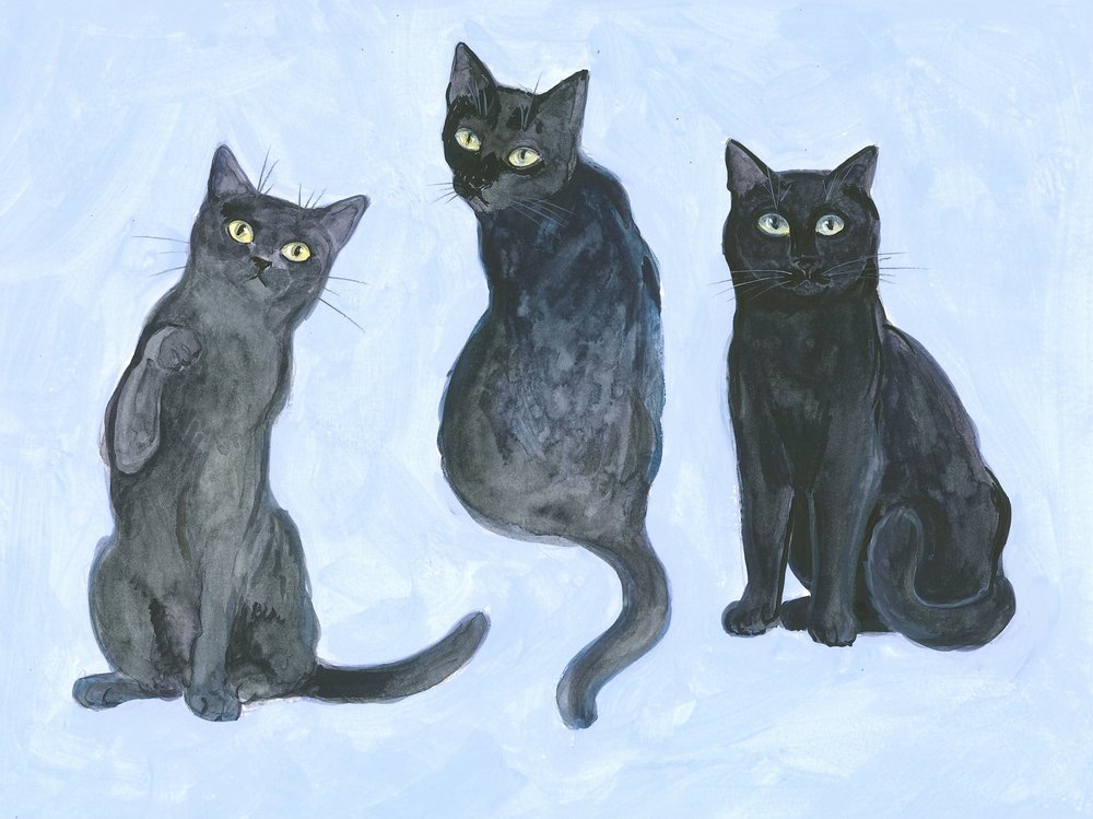 Étude de trois chats - Isabelle Brent