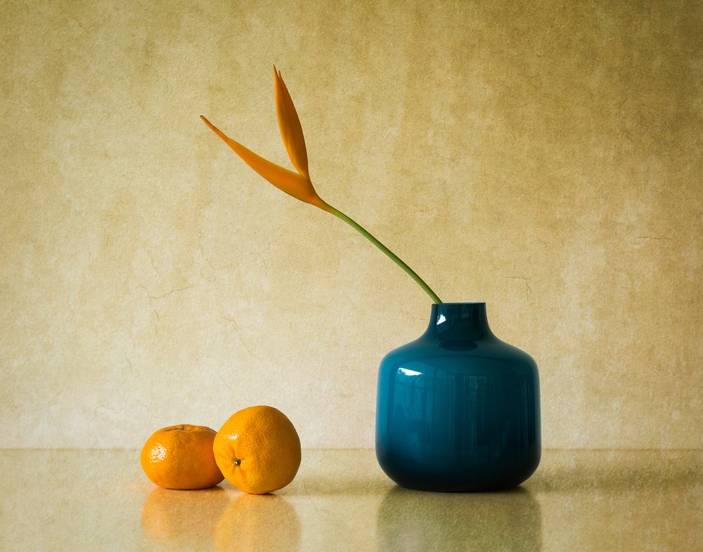 Fleurs tropicales et oranges - Jacqueline Hammer
