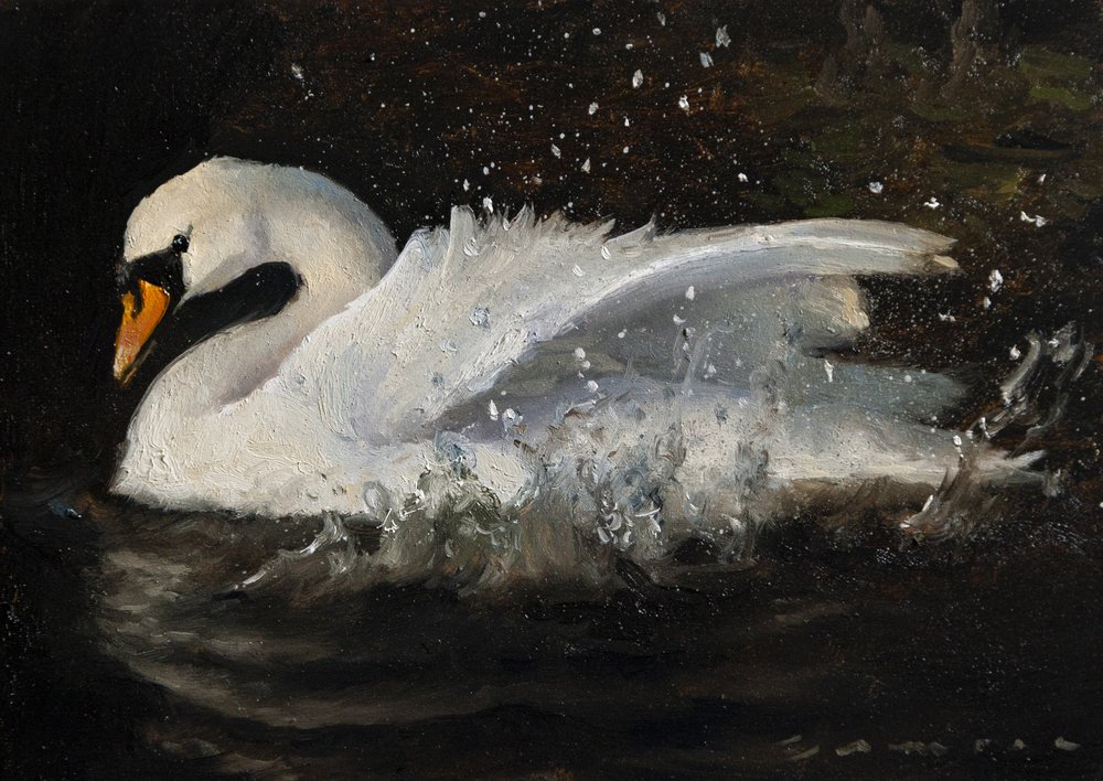 Le cygne dansant - James Zamora