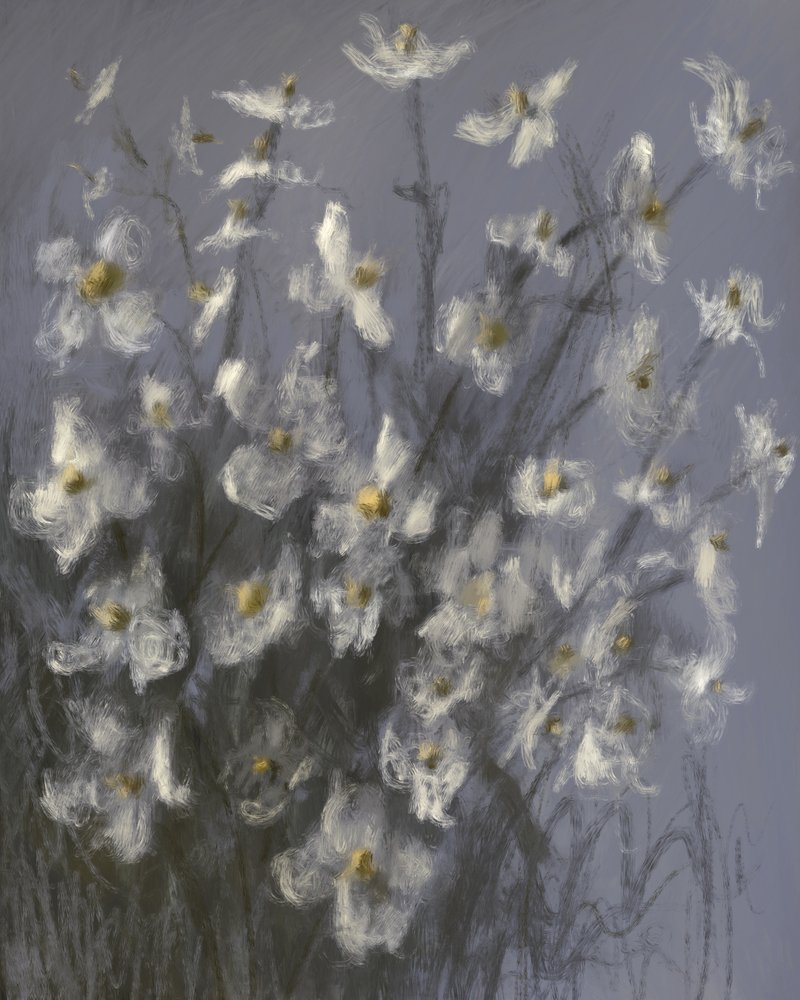 Des fleurs blanches de rêve - James Zamora
