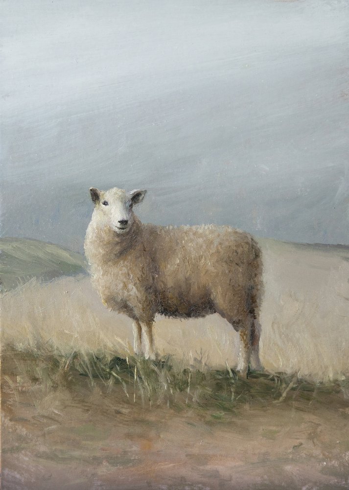 Moutons de pâturage - James Zamora