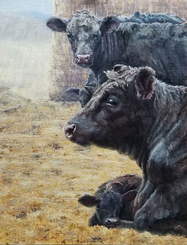 La famille Black Cattle - Jan Clizer