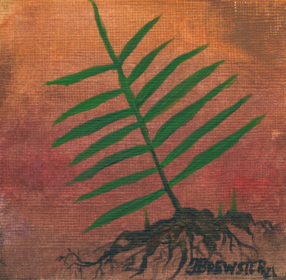 Racines de fougère verte - Janine Brewster
