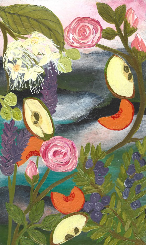 Des fruits de jardin aux couleurs éclatantes - Janine Brewster