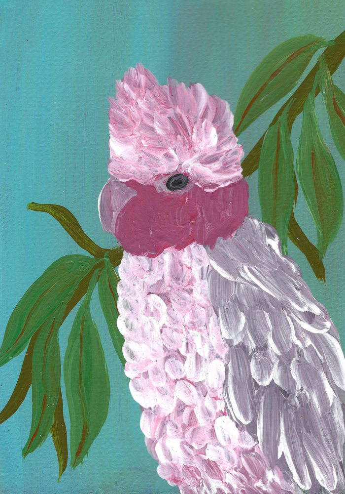 Cacatoès rose vif - Janine Brewster