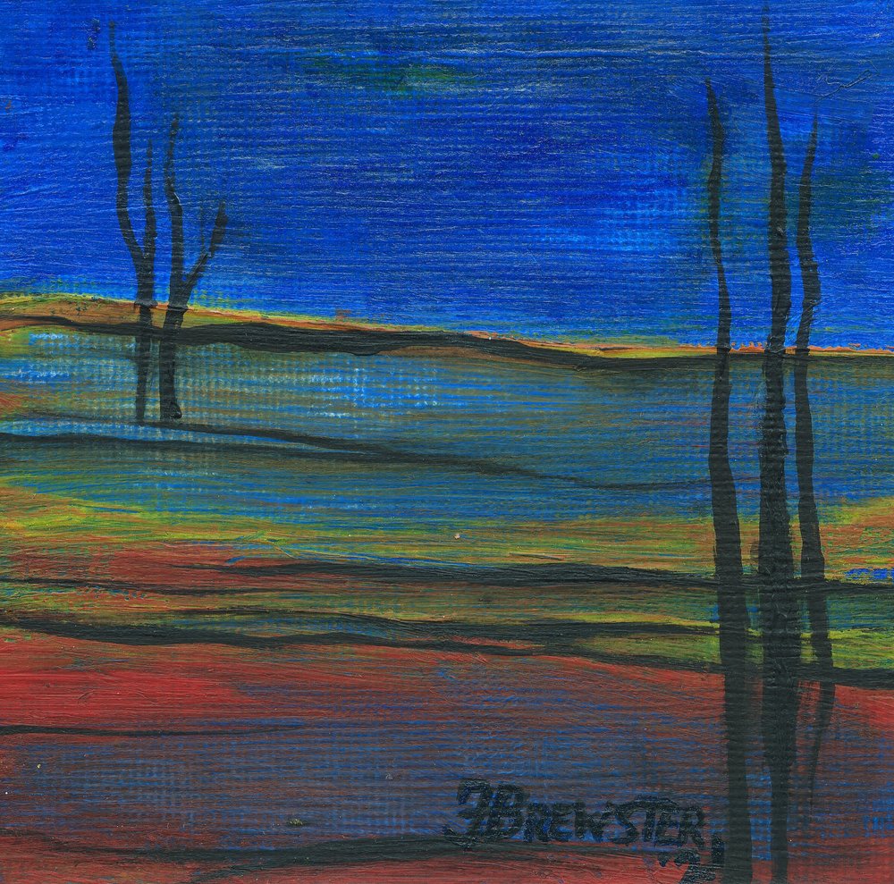 Paysage crépusculaire éclatant - Janine Brewster