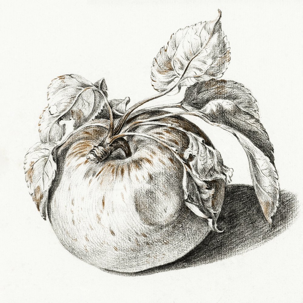 Apple - Jean Bernard