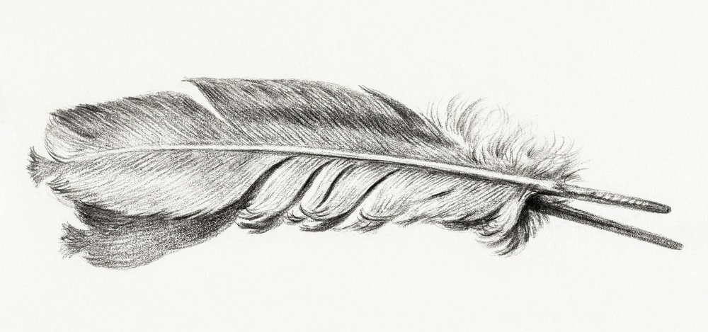 Plume - Jean Bernard