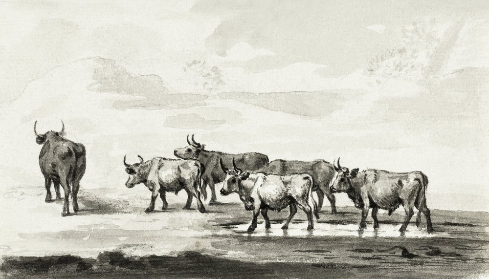 Groupe de six taureaux - Jean Bernard