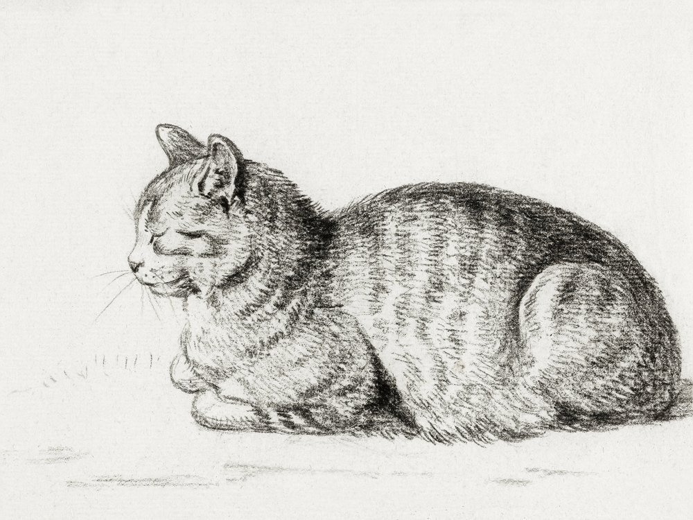 Le chat couché (1811) - Jean Bernard