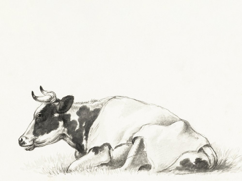 « La vache couchée » de Jean Bernard - Jean Bernard