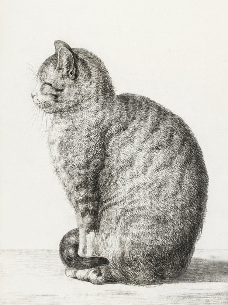 Chat assis (1815) - Jean Bernard
