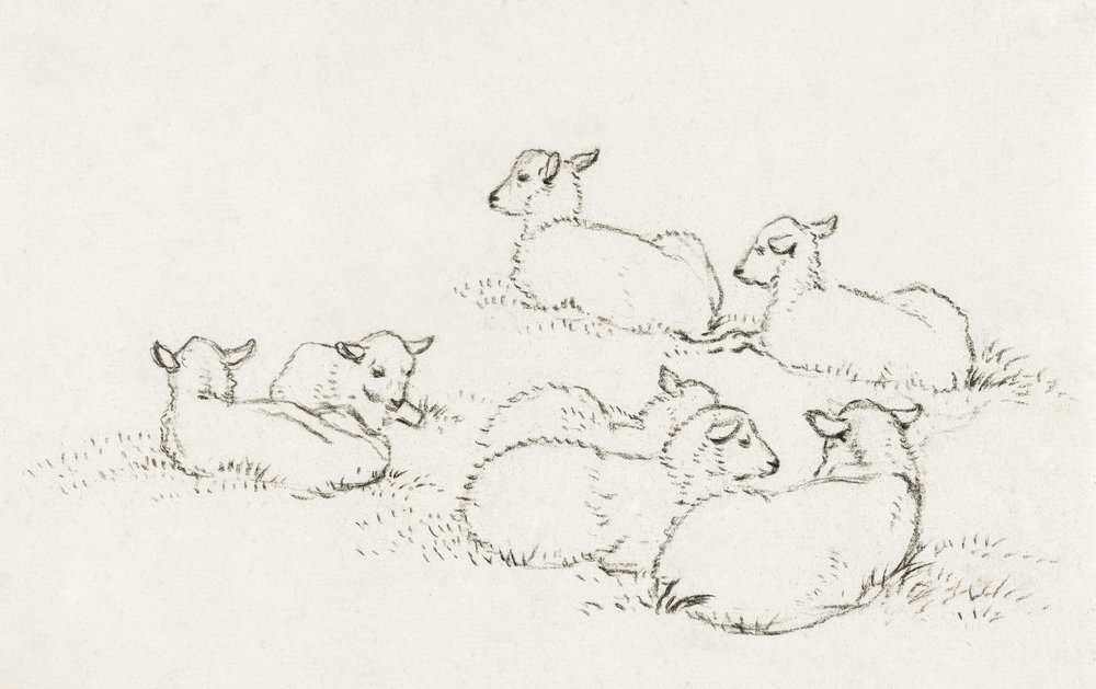 Six agneaux couchés (1820) - Jean Bernard