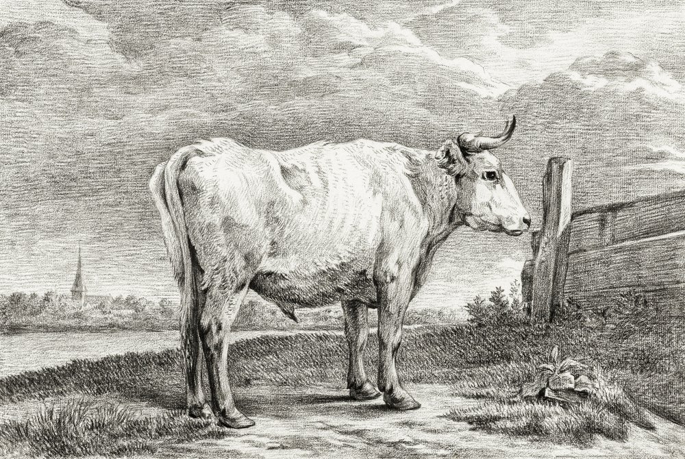 Standing Bull (1817) - Jean Bernard