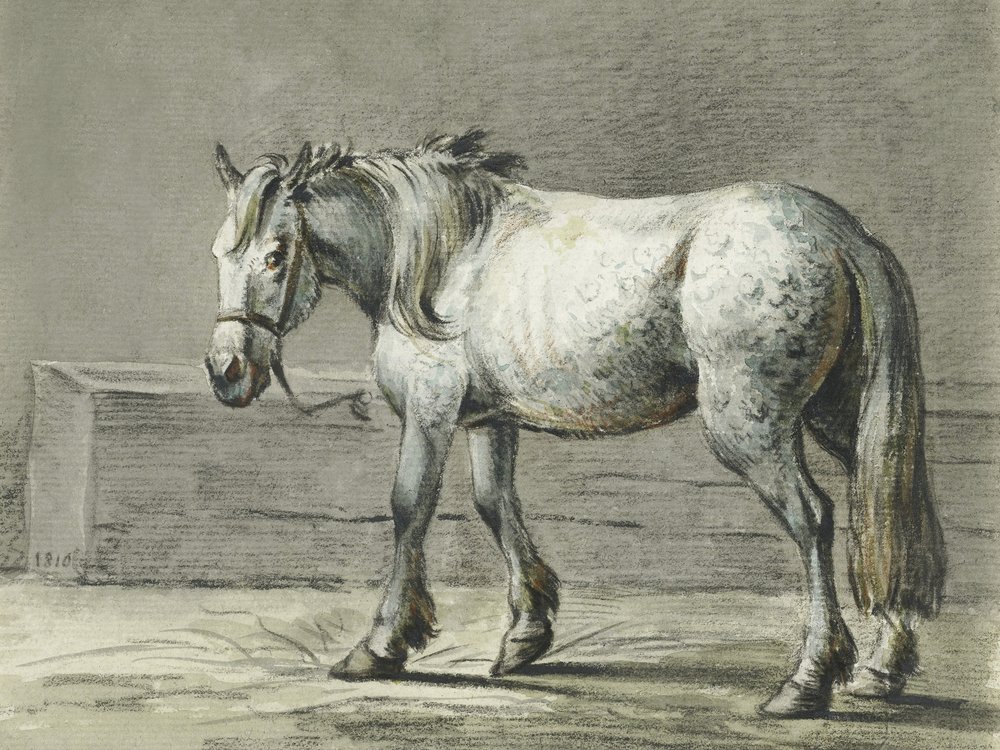 Cheval debout (1810–1816) de Jean Bernard - Jean Bernard