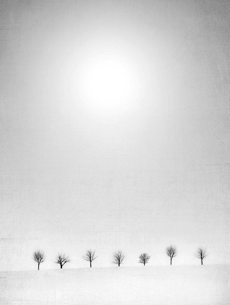  - Jeffrey Hummel