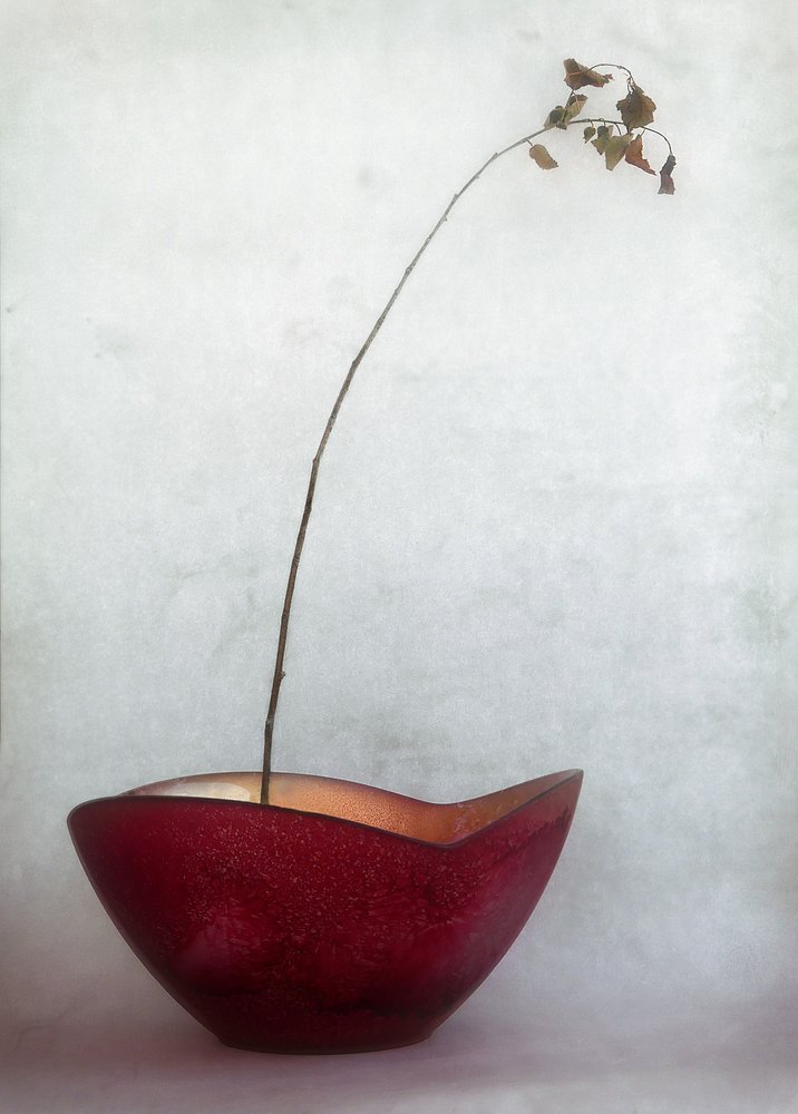  - Jeffrey Hummel