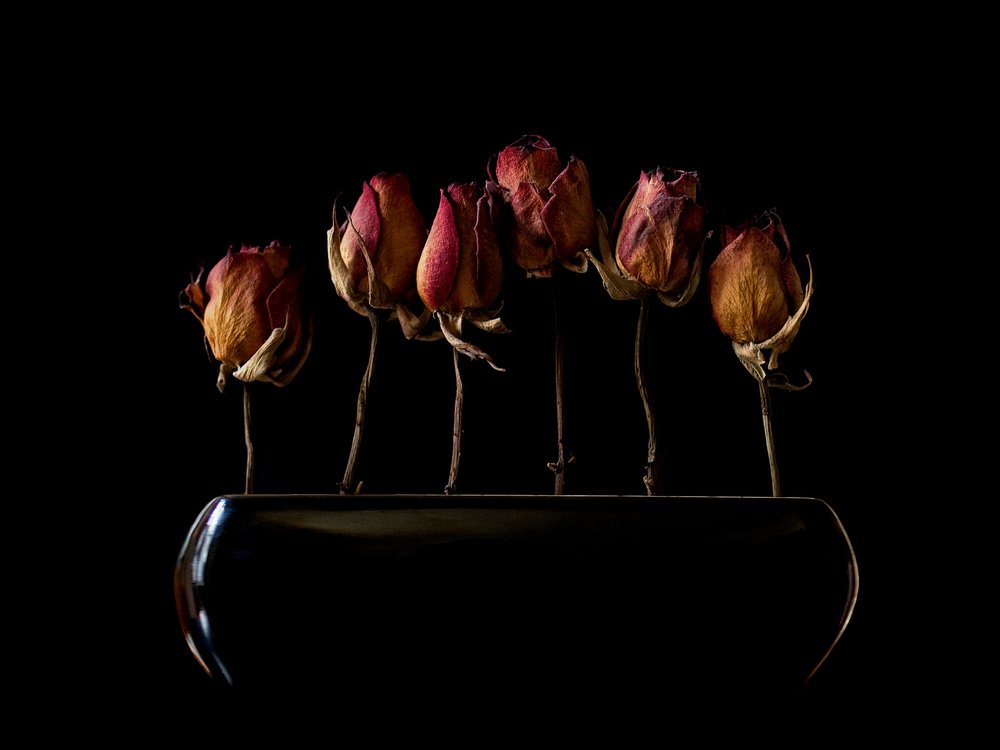  - Jeffrey Hummel