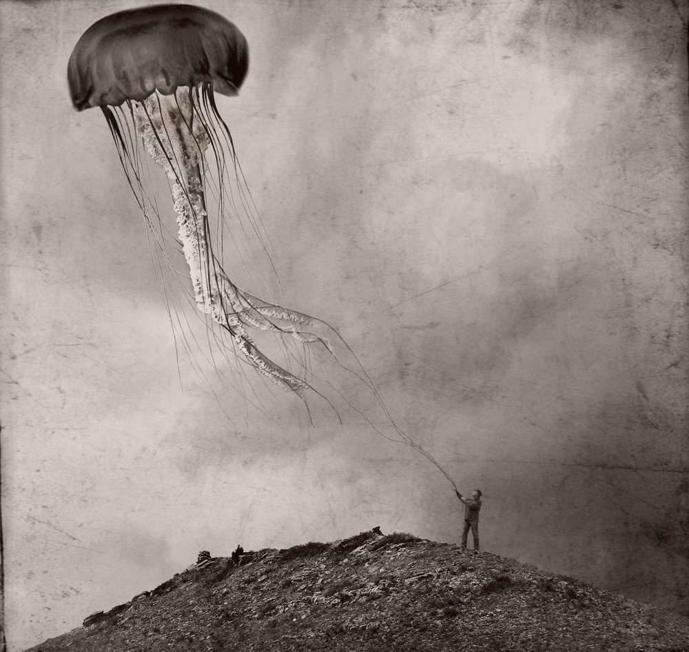 - Jeffrey Hummel