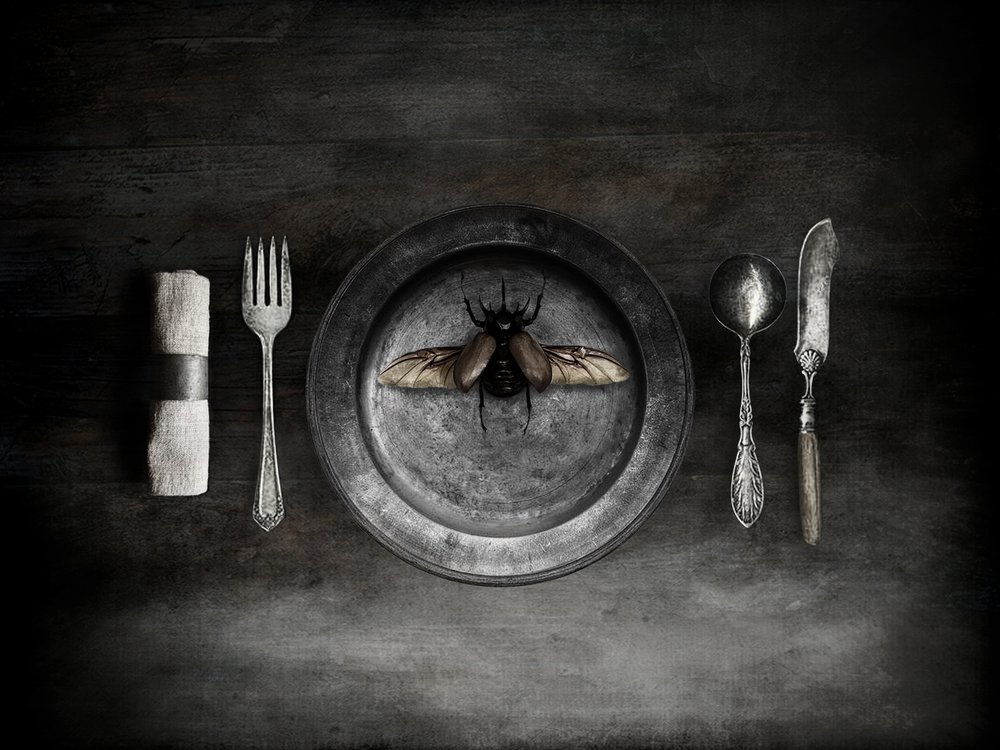  - Jeffrey Hummel