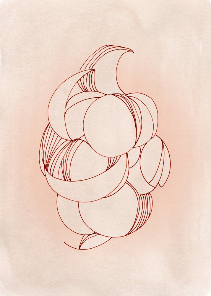 Fleur abstraite aux contours flous - Jenja Braun