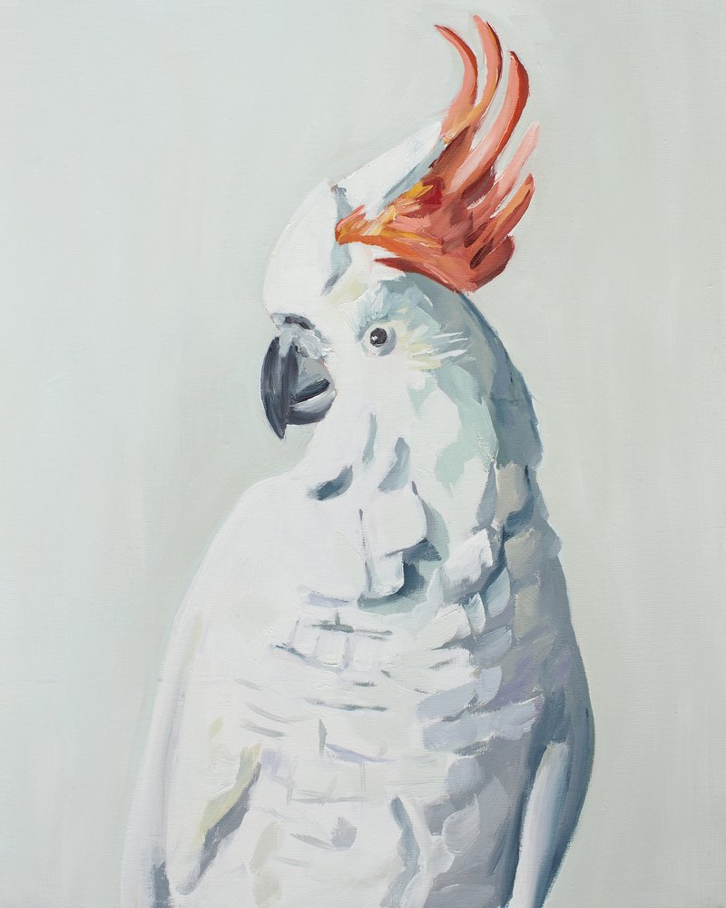  - Jenny Westenhofer