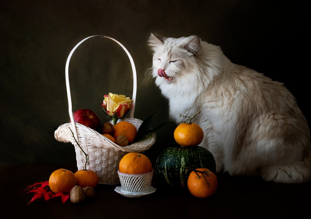 Nature morte aux fruits d