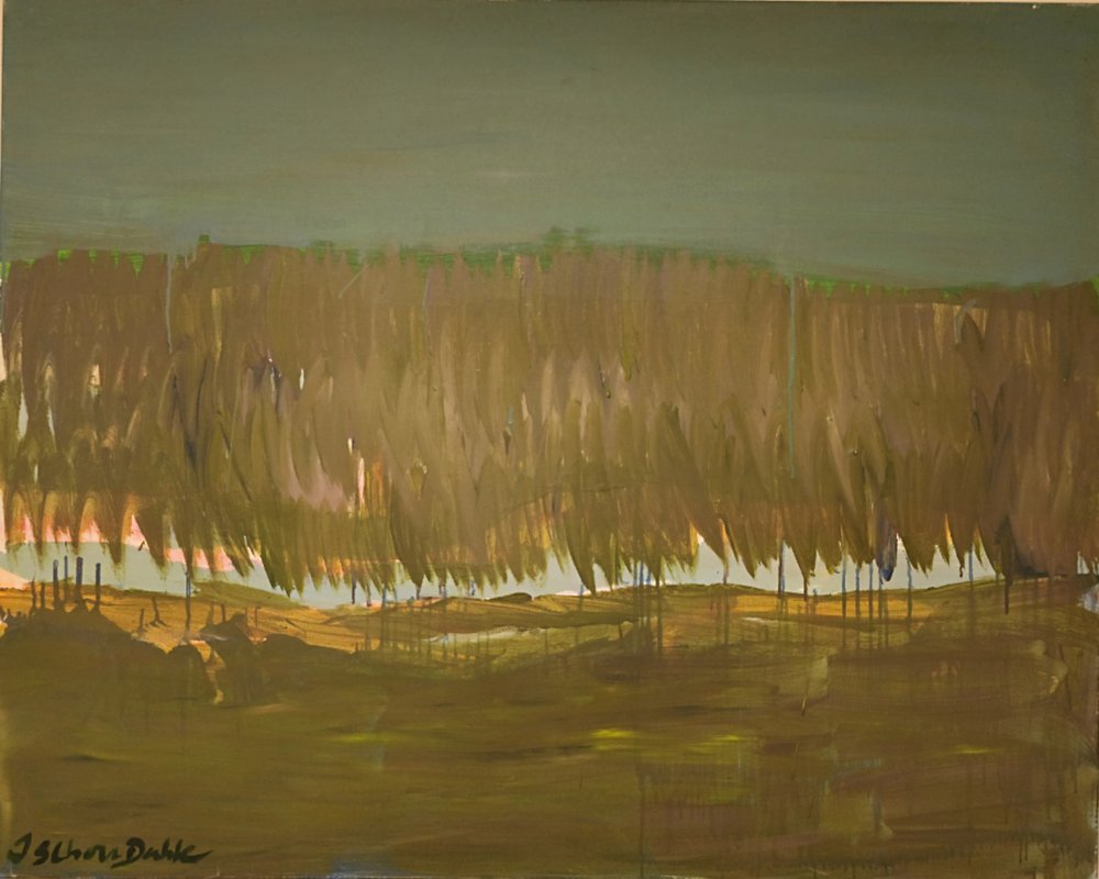 Vaste paysage marécageux - Joackim Schou Dahle