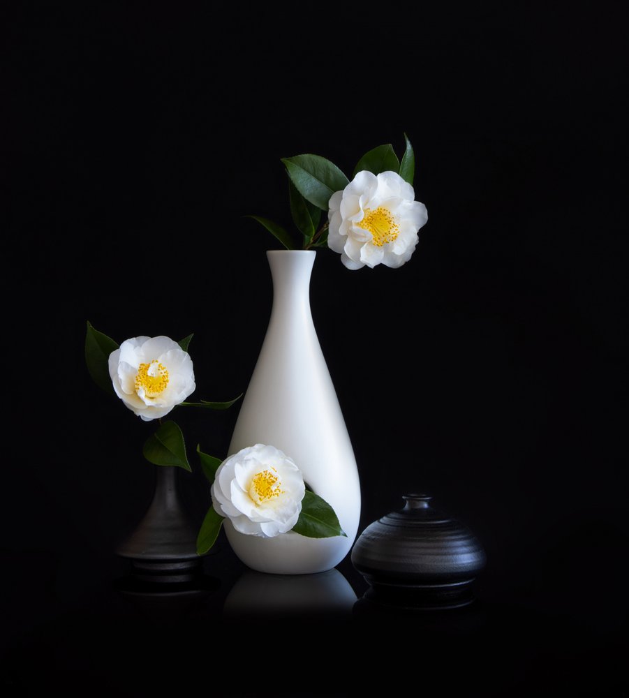 Nature morte aux camélias blancs - Joanna W