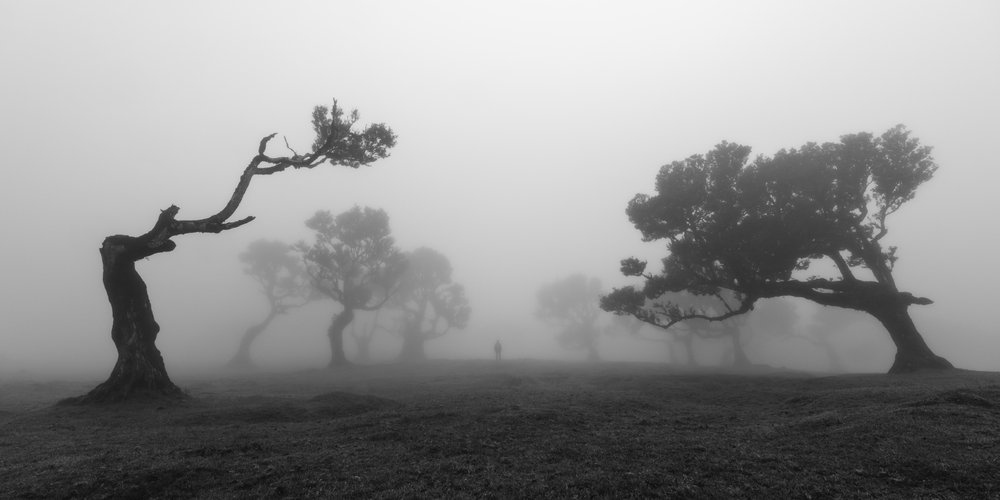  - Jochen Bongaerts