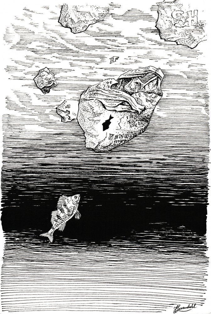 Des poissons sous le plastique - Johan Liewendahl
