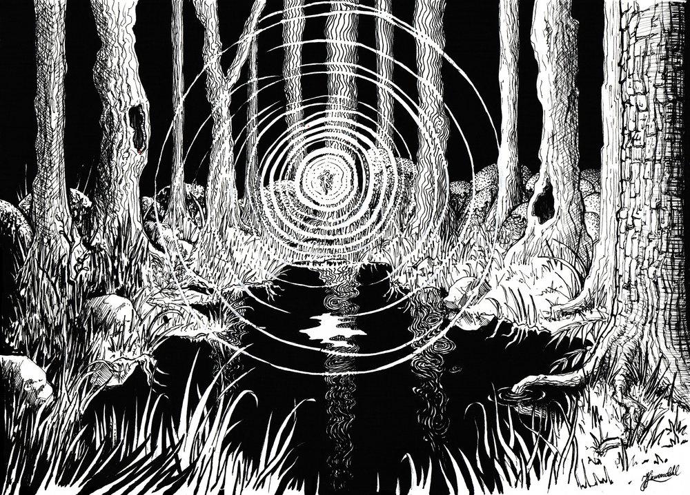 Les ondulations de la forêt mystique - Johan Liewendahl