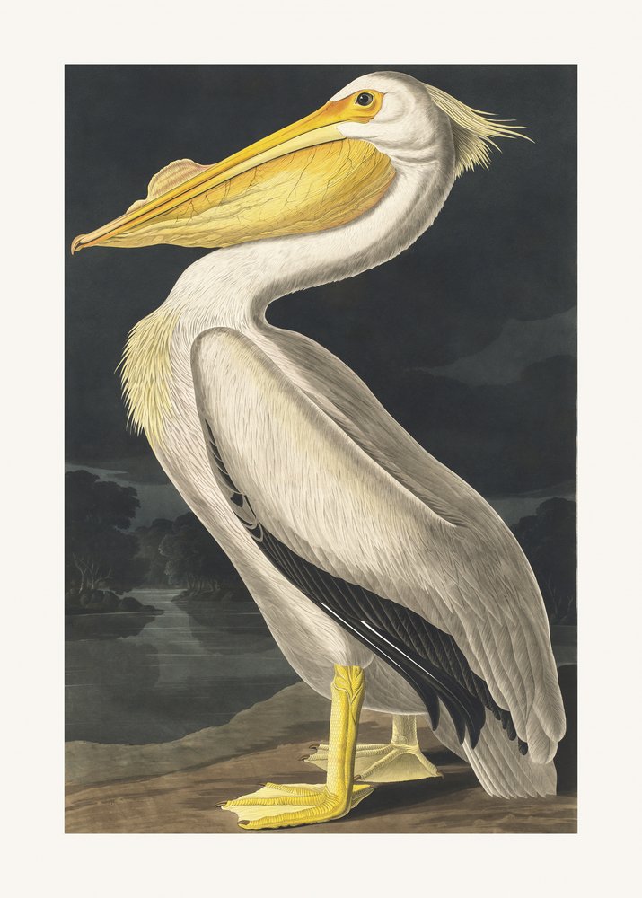  - John James Audubon