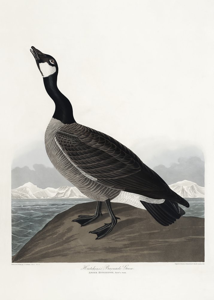  - John James Audubon
