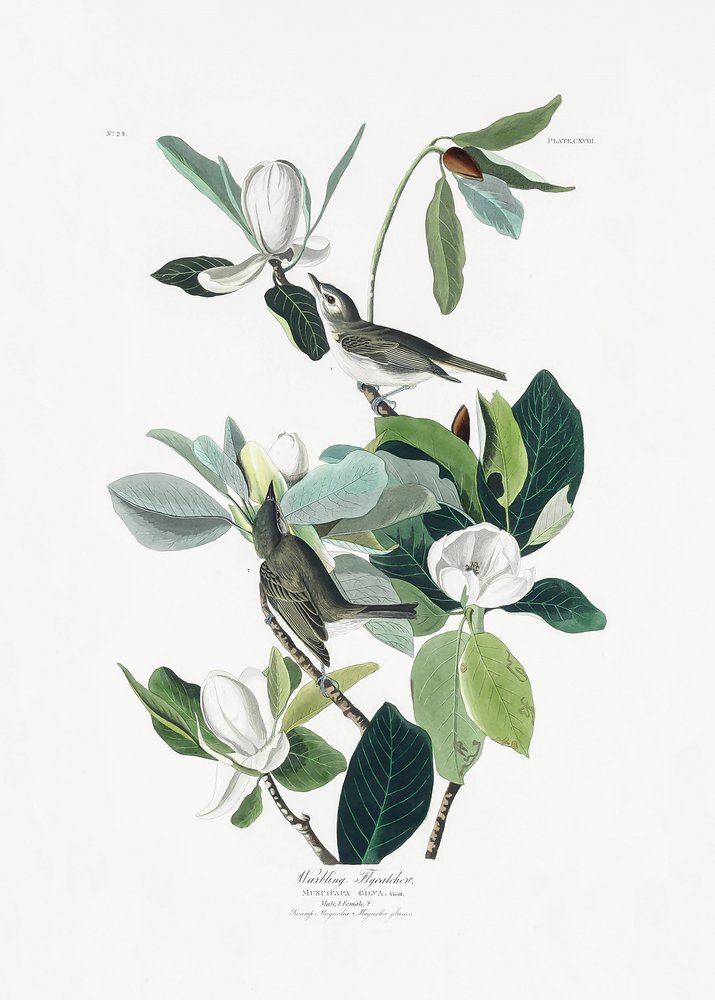  - John James Audubon